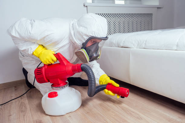 Professional Pest Control in Duluth, GA